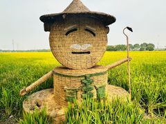 -嘉北郊野公园