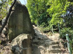 -南山植物园