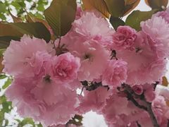 -玄武湖景区-情侣园游乐场