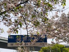 -南浦大桥长途旅游客运站