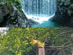 -大奇山国家森林公园