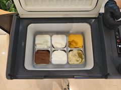 -野人先生现做冰淇淋(深圳壹方城店)