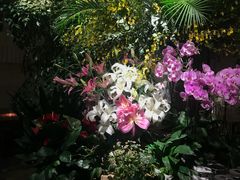 -春暖花开(西溪店)