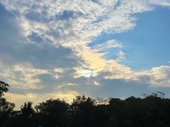 -盘龙城国家考古遗址公园