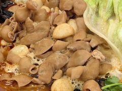 -彭记铁锅肥肠(东四总店)