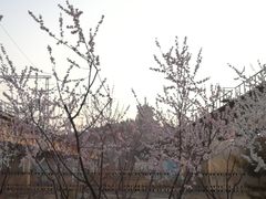 -永定河休闲森林公园