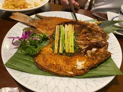 -紫滇源云南生态菜(丹凤街店)