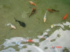 -十渡东湖港风景区