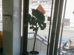 -德标艾诺口腔(敦化路店)