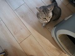 -平行世界·猫咖(首经贸店)