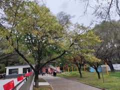 -二一九公园