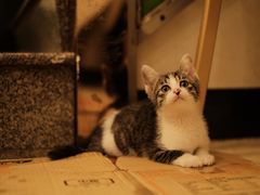 -汇兴源餐馆(小北路店)