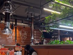 -猫爪爪原切自助烤肉(观音桥阳光世纪店)