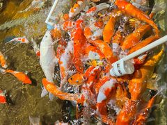 -太平洋海底世界