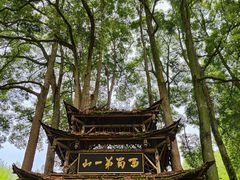 -青城山