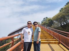 -少华山国家森林公园