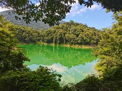 -广州市流溪河国家森林公园