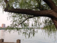 -济南大明湖景区