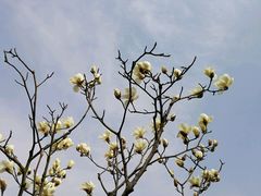 -幸福湖国际会议中心