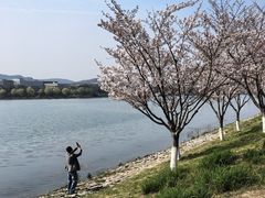 -羊山湖公园