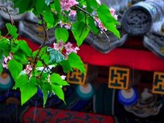 -承恩寺