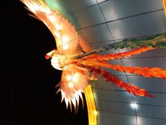 -欢乐海岸椰林沙滩-2025湾区超级灯会