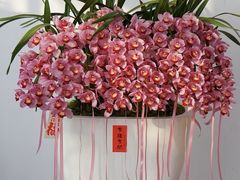 -F.Story 花和故事(新天地店)