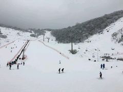 -太子岭滑雪场
