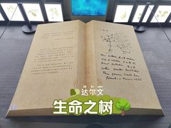 -四川大学博物馆