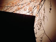 -安屿an·spa(卓悦中心商场店)