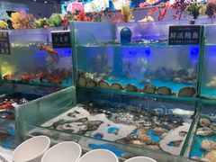 -SEA西雅图海鲜自助餐厅(海乐世界店)