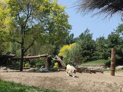 -北京野生动物园