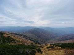 -凤凰山国家森林公园