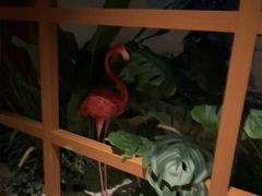 -世外桃源水疗会(皇庭彩园店)