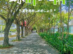 -宝安西湾红树林湿地公园