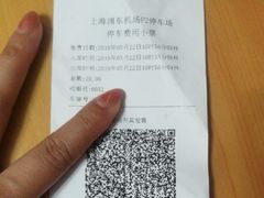 -上海浦东国际机场-T2航站楼