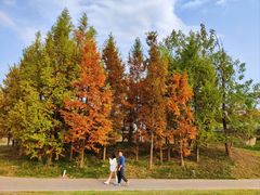 -白鹭湾湿地公园