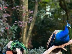 -杭州野生动物世界