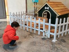 -上海崇明金茂凯悦酒店