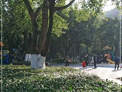 -龙头寺公园