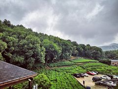 -杭州西湖风景名胜区-满觉陇四眼井