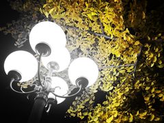 -杯欢制茶(三里屯店)