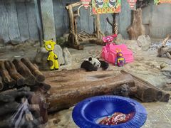 -海南热带野生动植物园