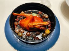 乳鸽-诺莱仕游艇会