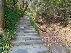 -杭州半山国家森林公园