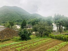 -东海大峡谷