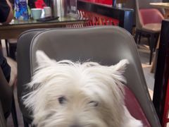 -小四川菜馆(托乐嘉店)