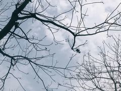 -红烧鱼头·杭帮菜·特色烧烤