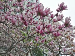 -赭山公园