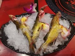 -袁老四重庆老火锅(桐梓坡店)